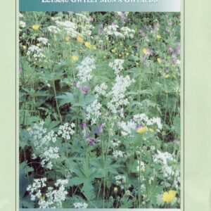 Wild Herbs of Anglesey and Gwynedd